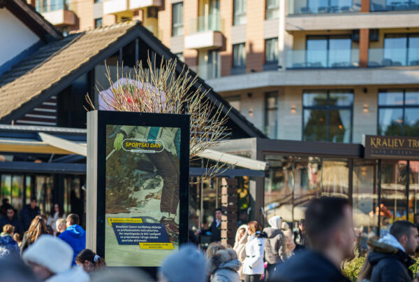 Led totem 01 - Kraljev trg, Zlatibor